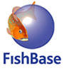 tl_files/sites/cel/Logos/FISHBASE.jpg